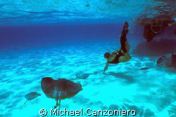 On some days, there are actually more rays than divers at... by Michael Canzoniero 